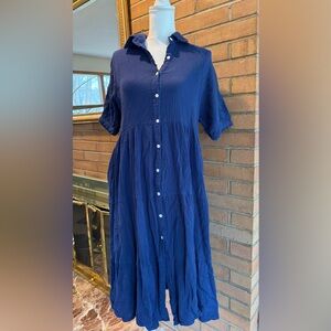 Elegant Blue Button-Up Dress